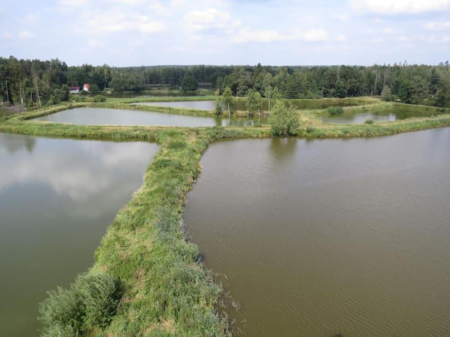 Ferienwohnung Mia Tirschenreuth Exteriér fotografie